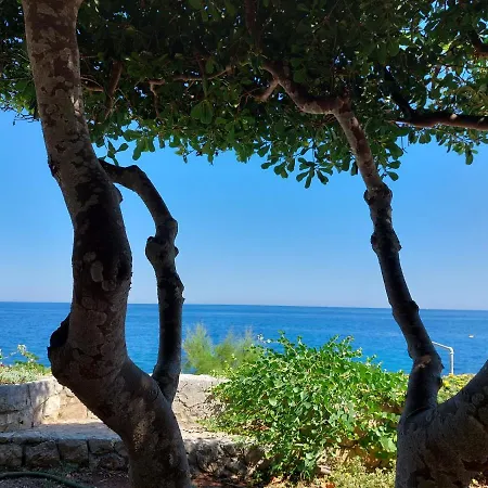 Villa A Strapiombo Sul Mare Marittima